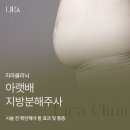 아랫배 볼록 할 때 지방 분해 주사 기대 범주와 통증