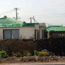 내도동 알작지왓 이미지