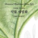 보타니컬아트(식물세밀화) 이미지