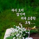 방목내 이미지