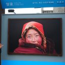 대가주천 이미지