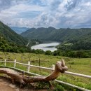 초원목장 이미지