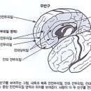 전두상회