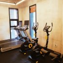 더 리얼 피티 이미지