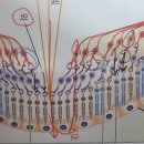 수가연의원 이미지