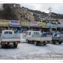 [보령맛집] 겨울먹거리, 굴 / 충남 보령 천북굴단지 / 돼지네굴집 이미지