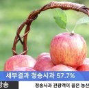 청송사과 - 서구 벌곡로 656 | 청송사과