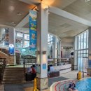 [뭐라도학교] 월담 4월 | [26년 4월] [숙소 리뷰] 경주 한화 리조트 담톤 스위트룸 2박 후기 (feat. 뽀로로 아쿠아 빌리지)