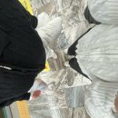 방배로23길 22 이미지