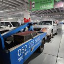 일진엠엔에스 이미지