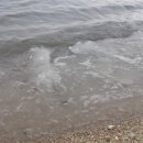 탄도 섬마을 이미지