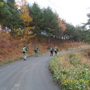 바우길 15구간 이미지