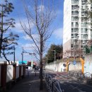 용산초등학교 병설유치원 | 충주 용산주공2단지 계약후기 &amp; 전세만기통보기한