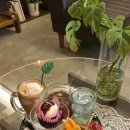 양말코히 이미지