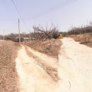 여주-1129 이미지