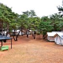 느랭이골자연리조트 이미지