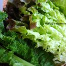 가연식당 이미지