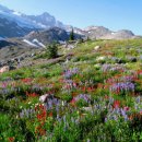 자연풍경 이미지