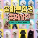 올바른참견 이미지