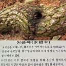 회문산 산행후 필봉농악전수관 관람 이미지