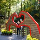 장태산휴양림 이미지