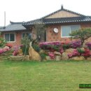 고향황토집 이미지