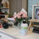 타로심리상담사 3급 이미지