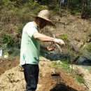 동필농장 이미지