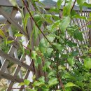 옥영농장 이미지