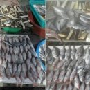 케이투(K2) 이미지