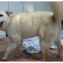 월드펫동물병원 이미지