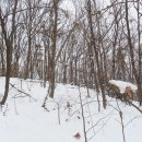 석성산 등산로 이미지