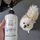 목욕 | 바트밋 퓨리바스 저자극 강아지 샴푸 목욕 후기