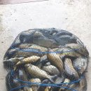 수정낚시터 이미지