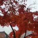 서동공원 화장실 이미지