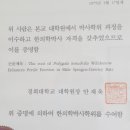 심강경희한의원 네이버블로그