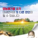 소각