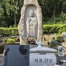 경북 문경 가볼만한곳 오미나라 와인체험 식도락 여행 - 오미자 증유 와인 단오절에 한 잔 이미지