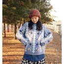 N129 이미지