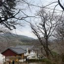 동화사 | 날씨는 도와주지 않았지만, 팔공산 동화사 힐링 산책 후기