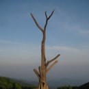 소백별서 이미지