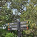 독립문공원길 이미지