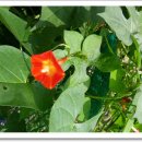 목련세탁소 이미지