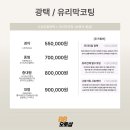 88광택