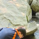 축령산 코지인 이미지