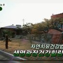 몸바른힐링센타 이미지