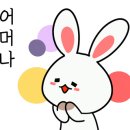 이츠펫(It's Pet) 이미지