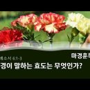 [20220508]성경이 말하는 효도는 무엇인가?/ 에베소서 6:1-3 이미지