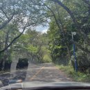 장복산길 이미지