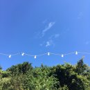 노을이내리는나루 이미지